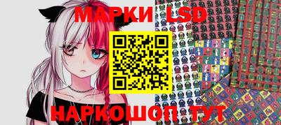стаф Нальчик