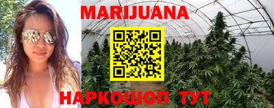 стаф Нальчик