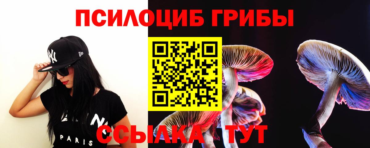 Маркс  закладки  Вход с VPN  Псилоцибиновые грибы MAGIC MUSHROOMS  Галлюциногенные грибы мицелий 